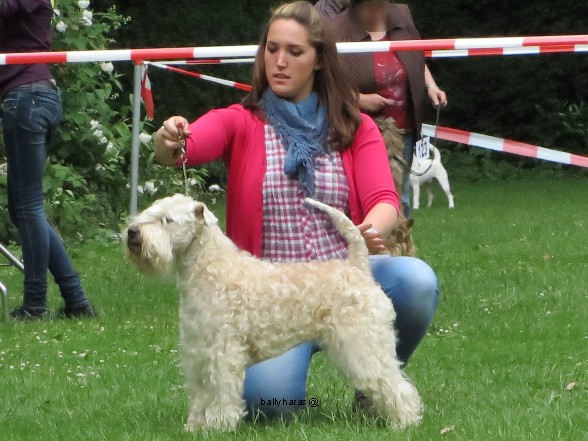 22-06-2013 045 22-06-2013 045