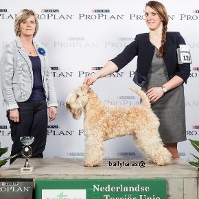 Veteraan_-_1_NTU_2015_Kynoweb_Ernst_von_Scheven_March_22_2015_15_22_16