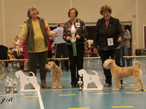 Ballyhara's Brianda Bealtaine BIS-Puppy