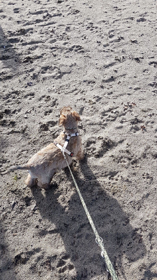 05-02-2017
