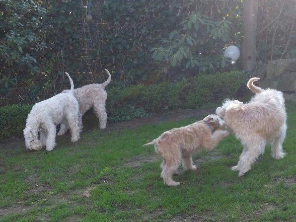 Finn und Familie