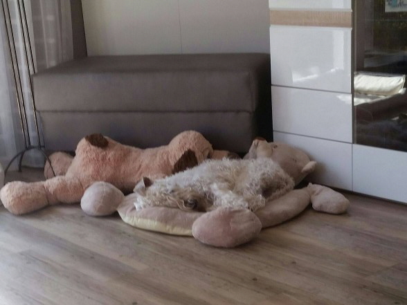 und relaxen