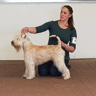 Ballyrara's Brianda Bealtaine "Molly"
Jugendklasse ex.1