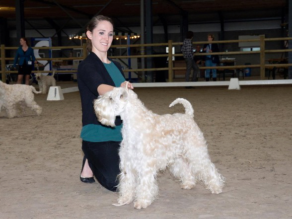 Ballyhara's Zero Agent Ex4