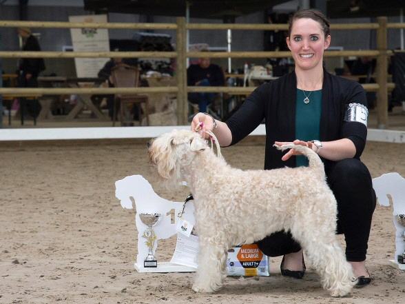 Ballyhara's Highlight of Emotion Ex 1 Beste Veteranenhndin