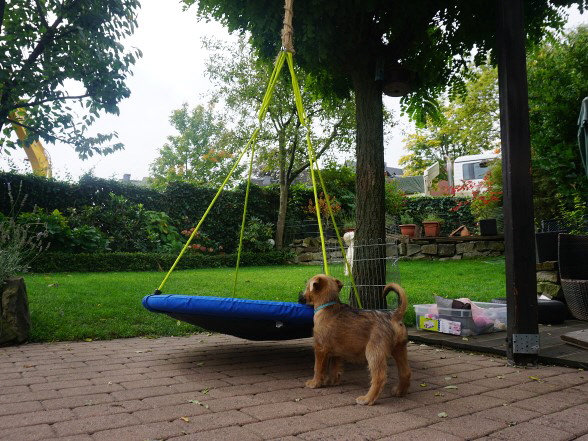 Wir haben nun einen Bagger fast im Garten
