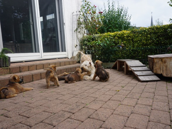 spielen mit Mama