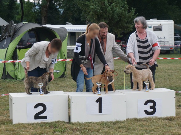 Terriershow Schweiz 20-08-2016