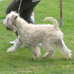 kingsly 02-07-2011