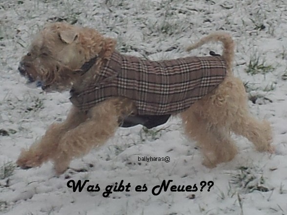 neues 1