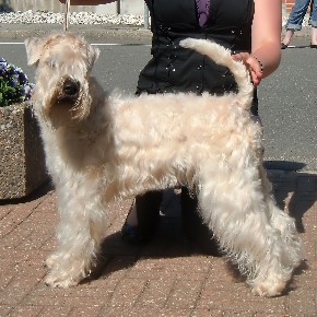 pia 27-06-2010